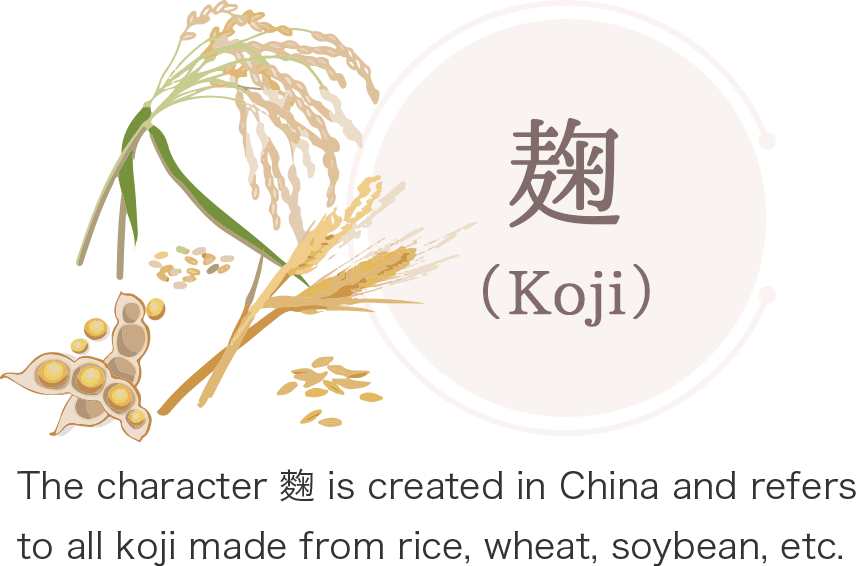 麴は中国由来の漢字で米、麦、大豆等で作られた全てのこうじを指します。
