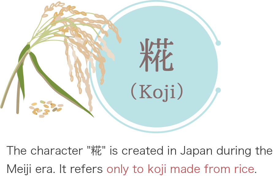糀は明治時代にできた和製漢字。お米で作られたこうじのみを指します。