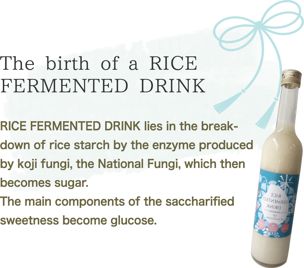 「お米のヒミツ☆」の誕生国菌である麹菌が生み出す酵素によってお米のでんぷんが分解され、糖になることで作られます。『糖化』された甘味主成分はぶどう糖になります。