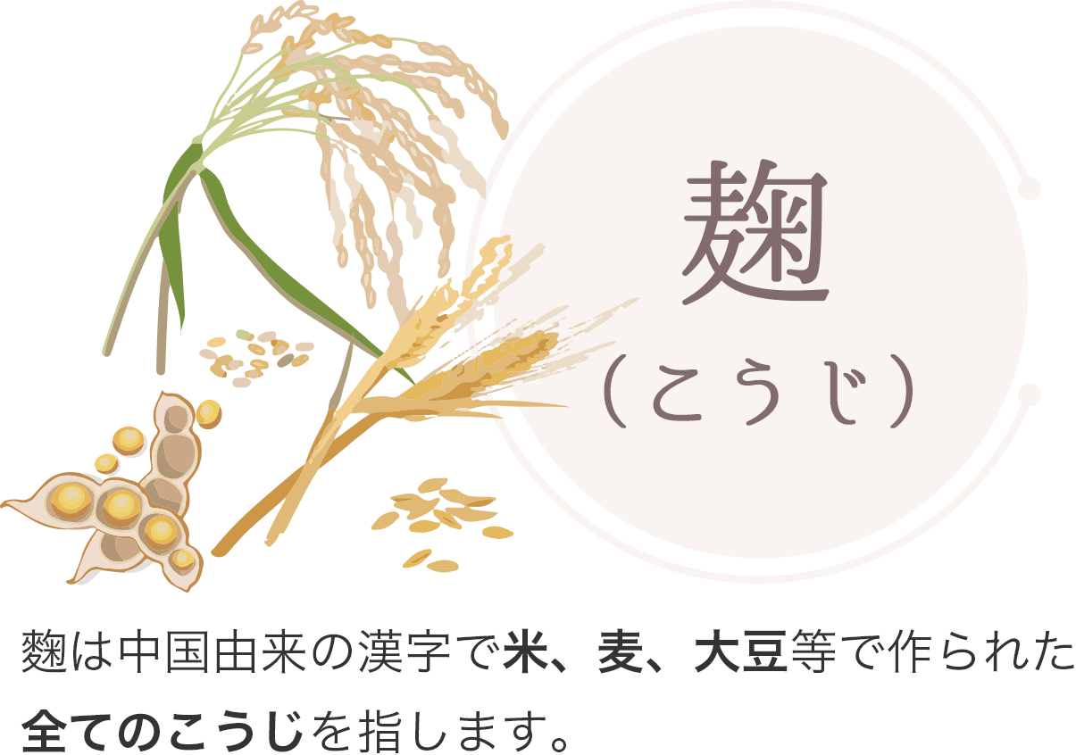 麴は中国由来の漢字で米、麦、大豆等で作られた全てのこうじを指します。