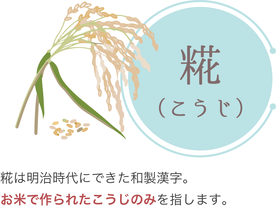 糀は明治時代にできた和製漢字。お米で作られたこうじのみを指します。